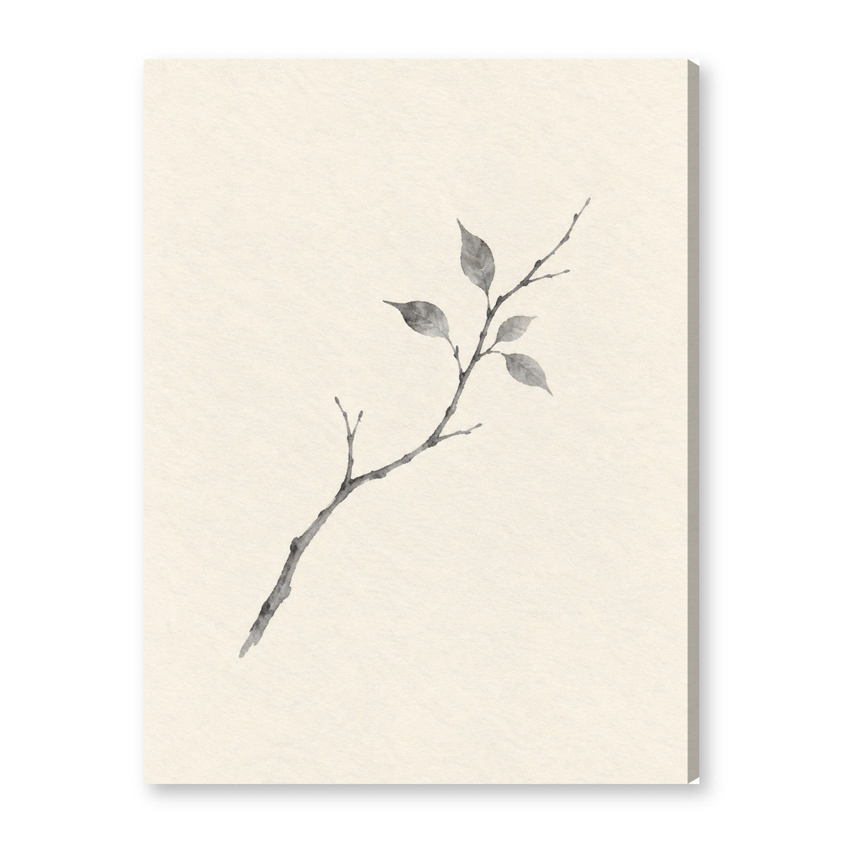 BRAN canvas wall art on white background