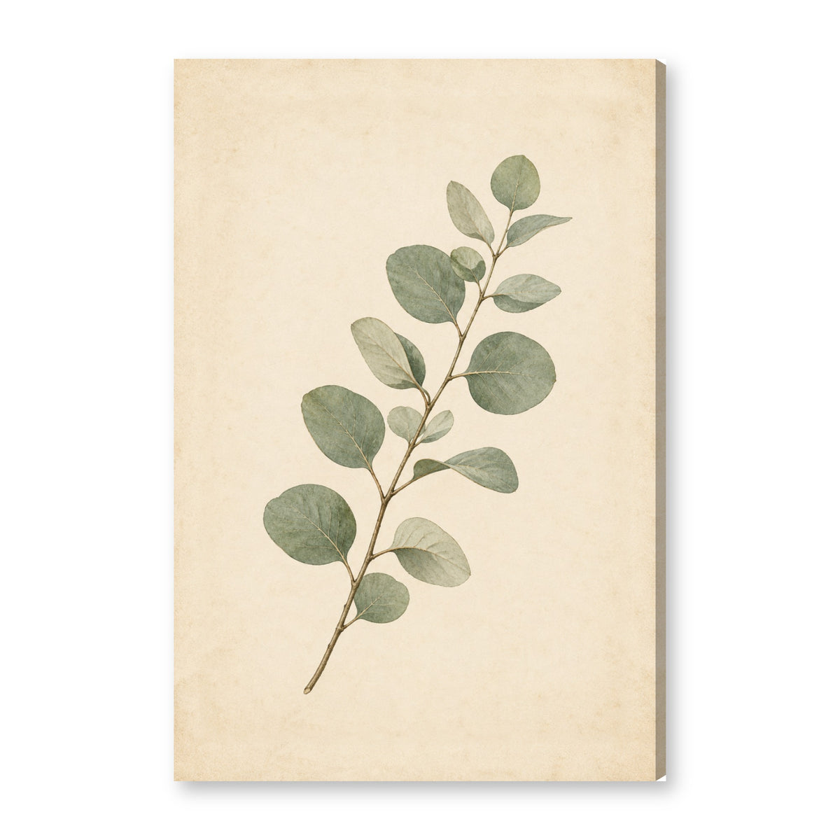 EUCA canvas wall art on white background