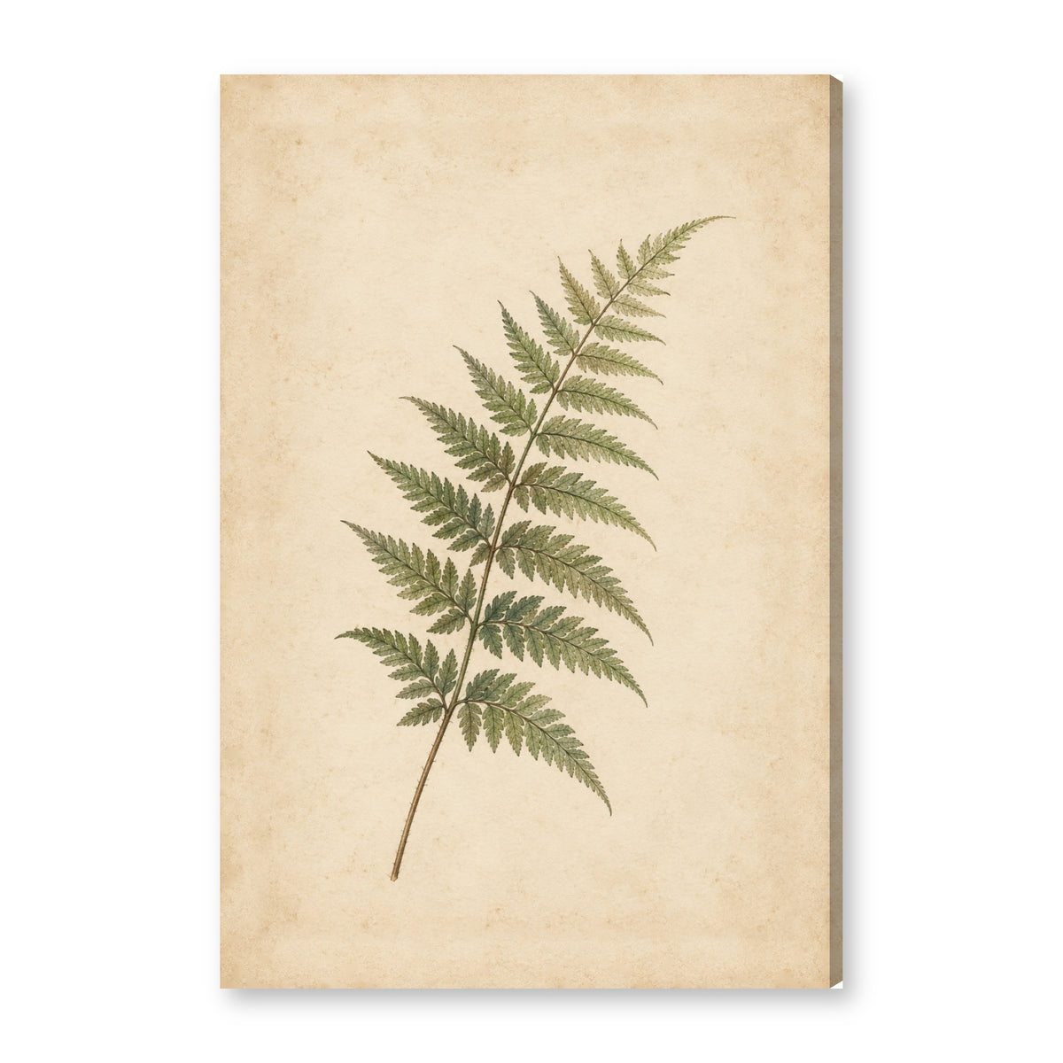 FERN canvas wall art on white background