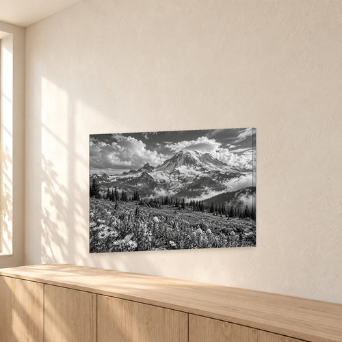Mount Rainier Black and White Landscape - 02-angle.jpg