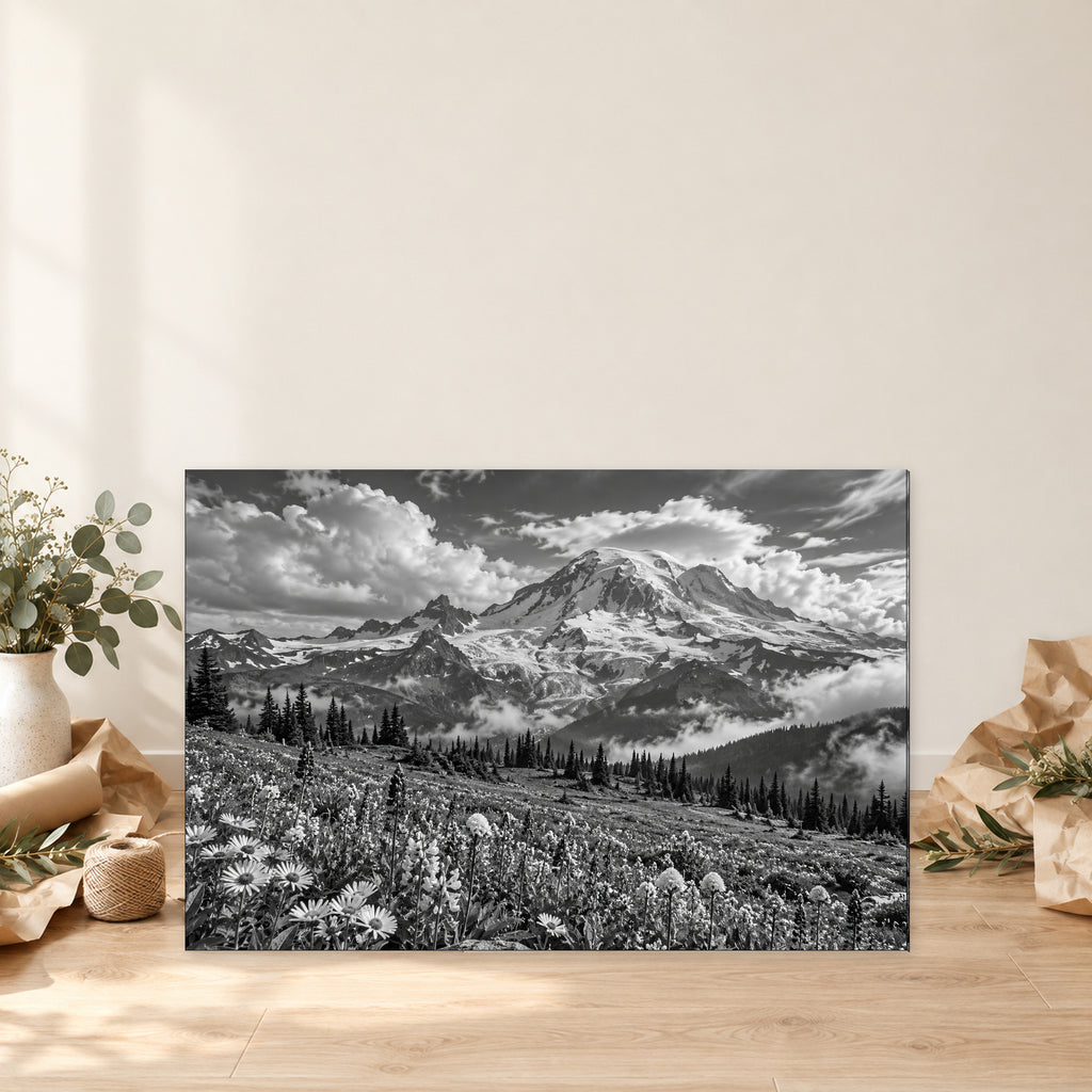 Mount Rainier Black and White Landscape - 06-gift.jpg