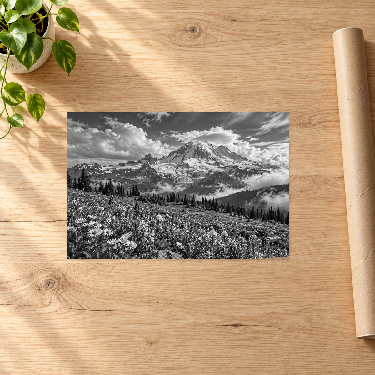 Mount Rainier Black and White Landscape - 07-poster.jpg