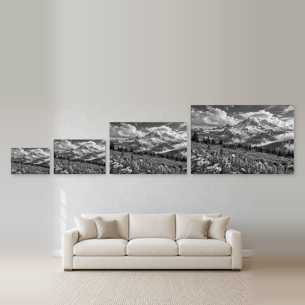 Mount Rainier Black and White Landscape - 08-size-guide.jpg