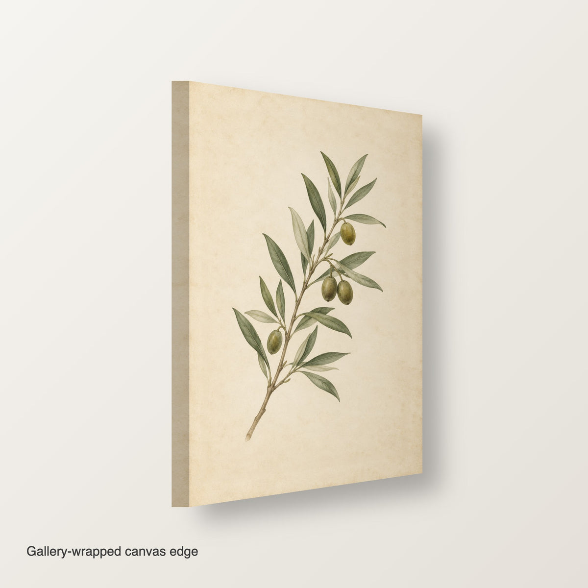XM87 Gallery-wrapped canvas edge view
