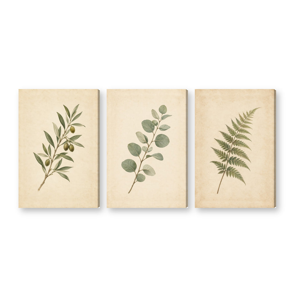 Canvas wall art on white background XM87
