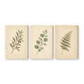 Canvas wall art on white background XM87