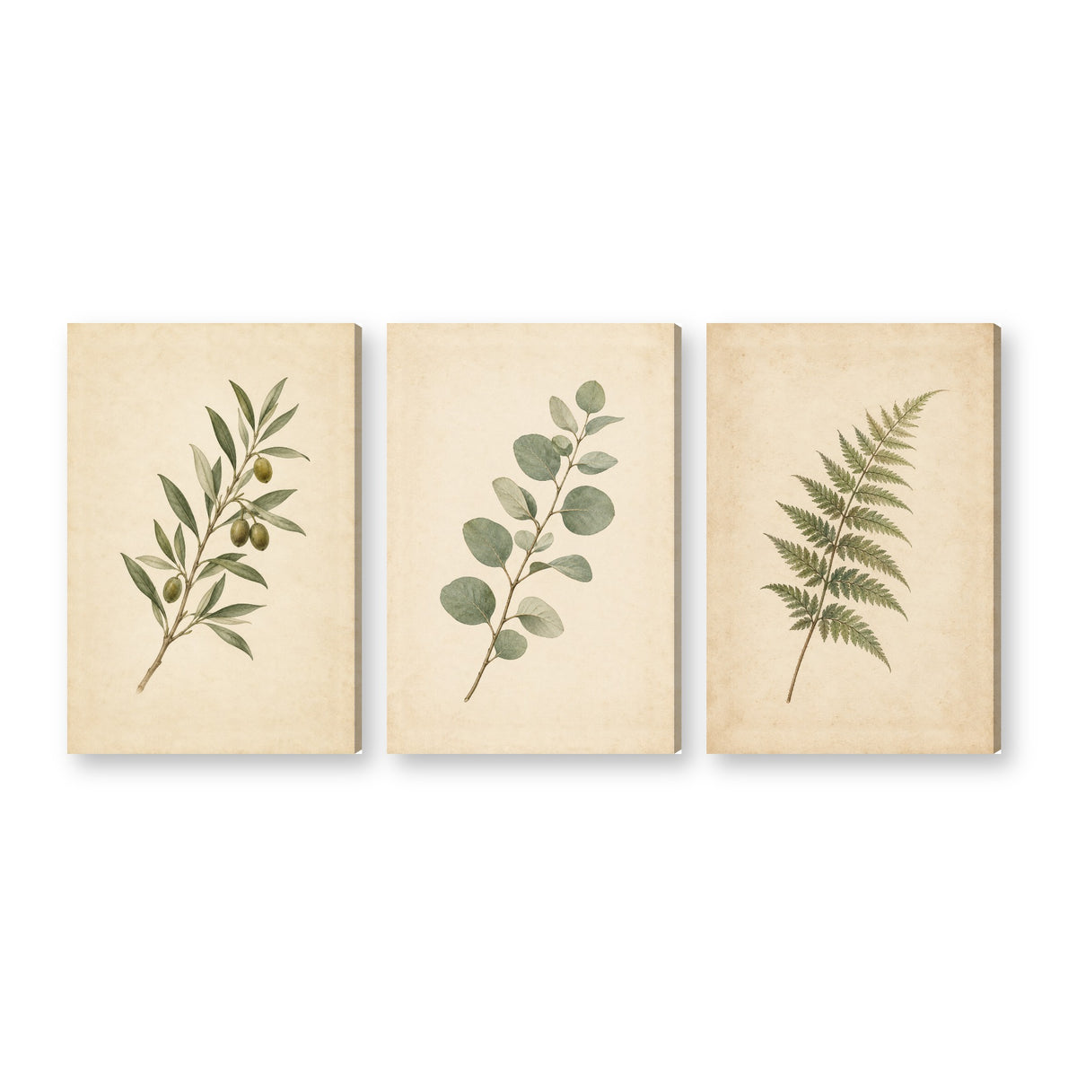 Canvas wall art on white background XM87