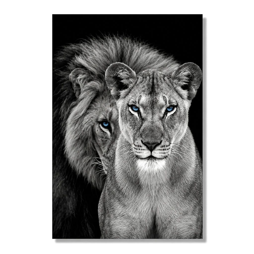 Blue Eyed Lions King And Queen Canvas – Dramatic Couple Wall Art