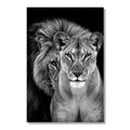 Blue Eyed Lions King And Queen Canvas – Dramatic Couple Wall Art
