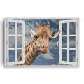 Curious Giraffe At Window Canvas – Funny Animal Wall Art