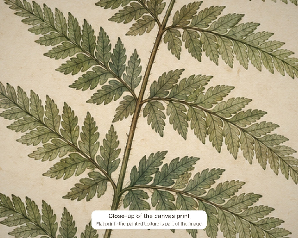 FERN detail close-up