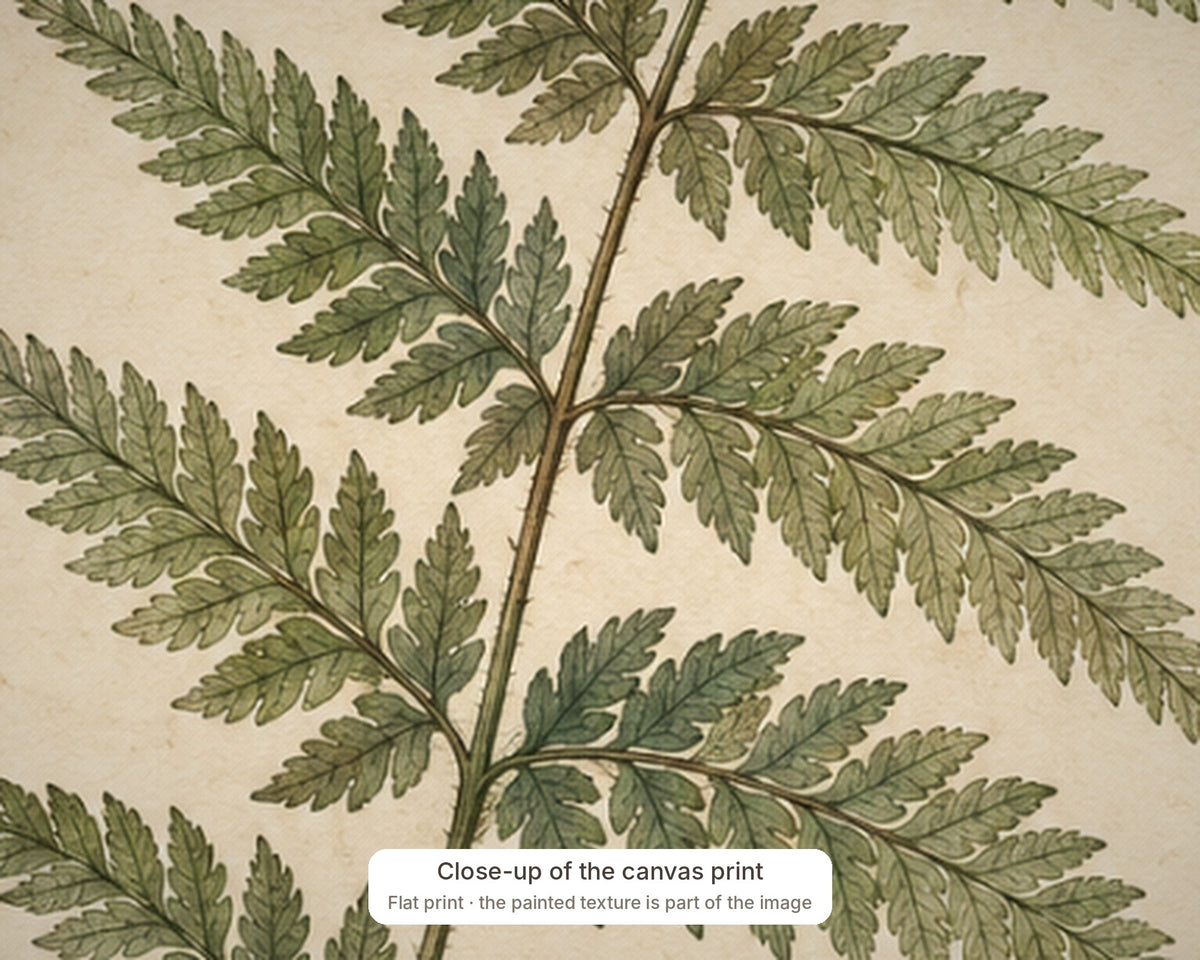 FERN detail close-up