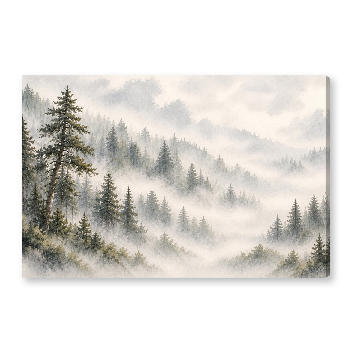 Misty pine forest canvas wall art on white background