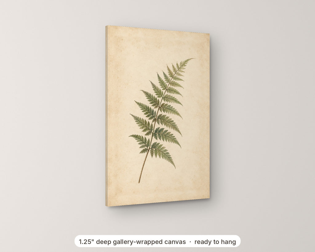 FERN angled view