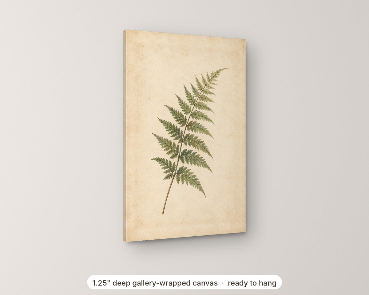 FERN angled view