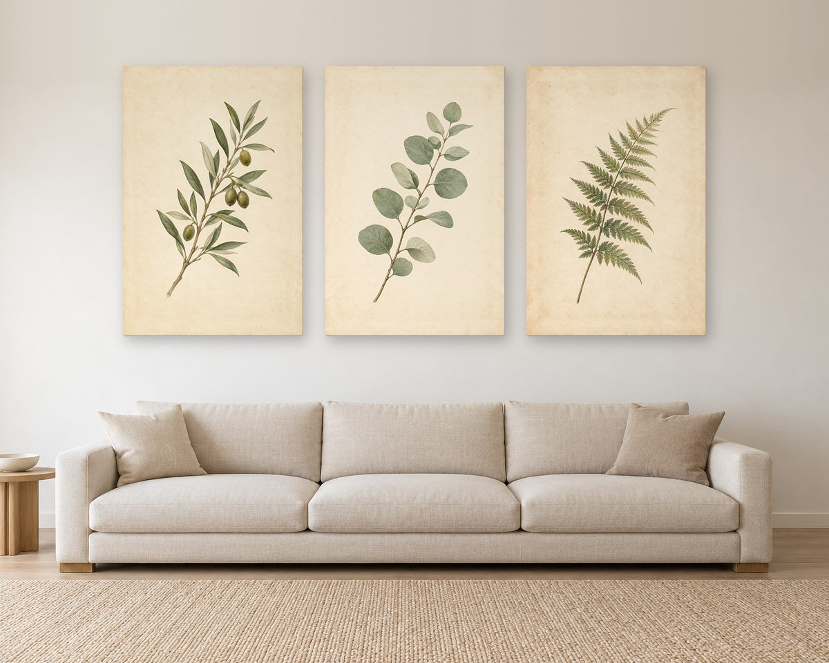 Set of 3 Vintage Botanical Wall Art, Olive Eucalyptus Fern Prints, Sage Green Canvas or Poster