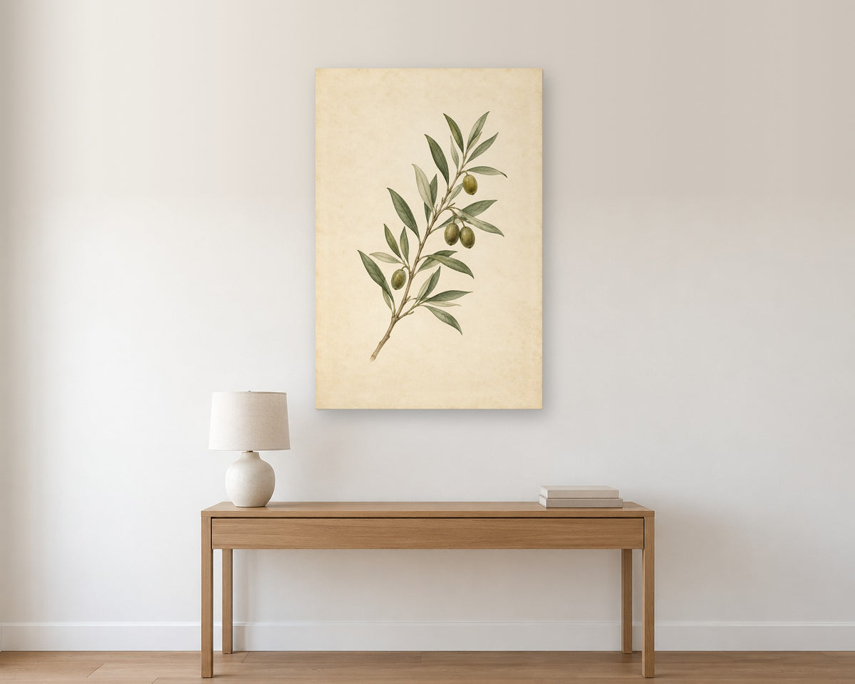 Vintage Olive Branch Wall Art, Sage Green Botanical Illustration Print, Canvas or Poster