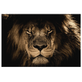 King Of The Jungle Canvas Wall Art – Lion Wall Art