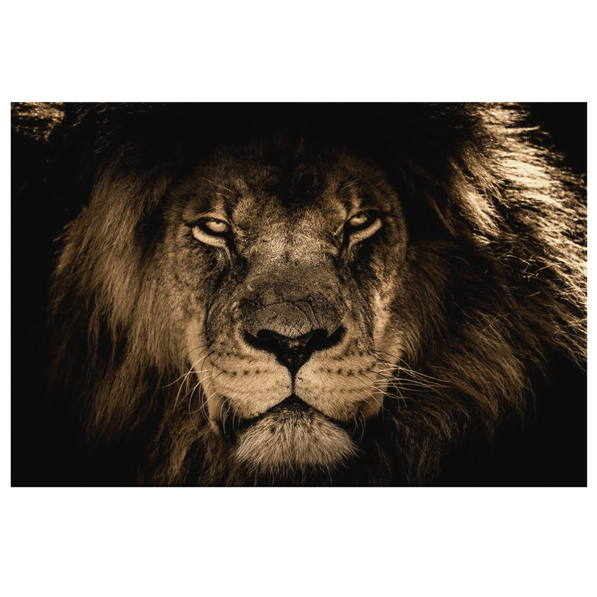 King Of The Jungle Canvas Wall Art – Lion Wall Art