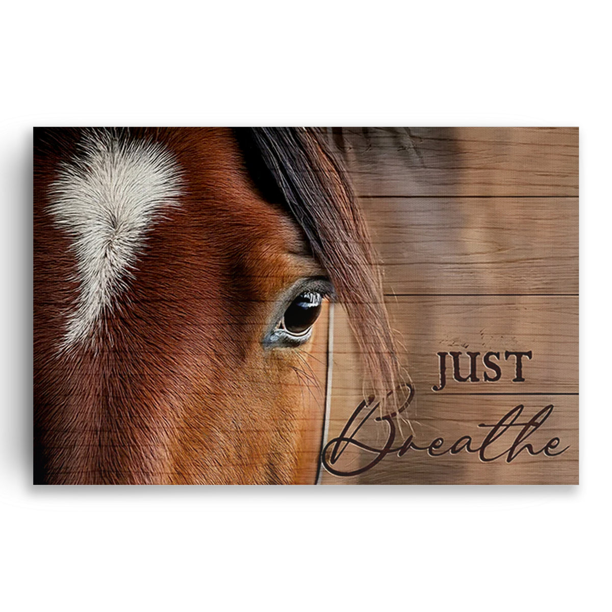 Horse Just Breathe Canvas Wall Art – Calming Equestrian Decor