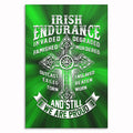 Irish Endurance Canvas Wall Art – Irish Heritage Pride Decor