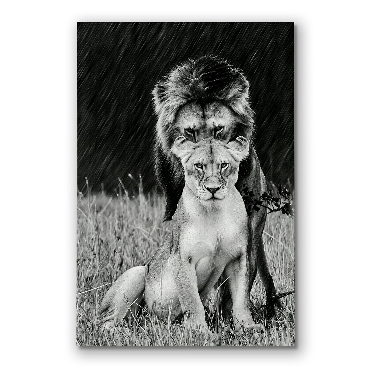 Lioness And Cub Canvas Wall Art – Black And White Wildlife Decor