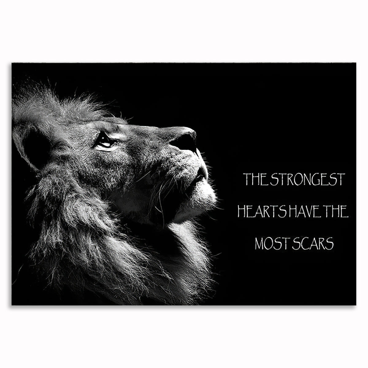 The Strongest Hearts Have The Most Scars Lion Canvas – Wall Art