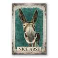 Nice Arse Donkey Canvas – Funny Vintage Bathroom Wall Art