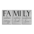 Personalized Family Set Of 3 Canvas – Crazy Loud Love Three Panel Art